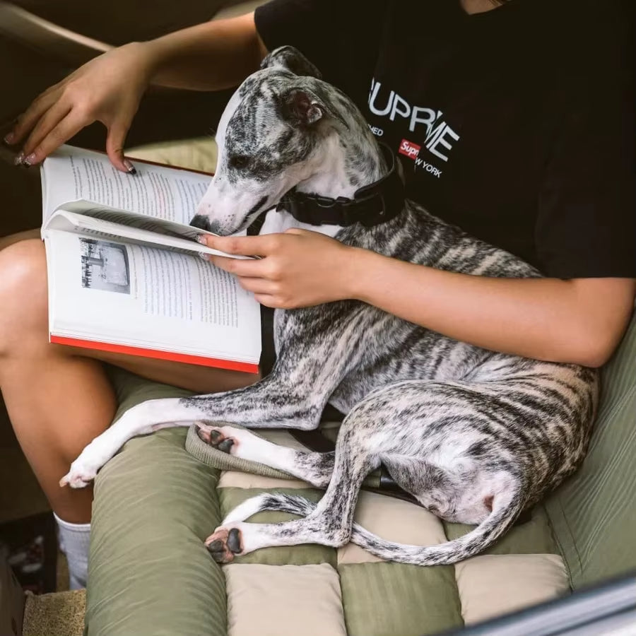 Cama de Lujo para Perros – Asiento Elevador para Auto con Arnés de Seguridad y Diseño Premium