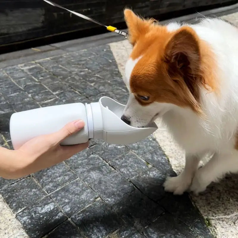 Taza Plegable Portátil 550 ml para Perros y Gatos – Botella de Agua de Viaje con Dispensador