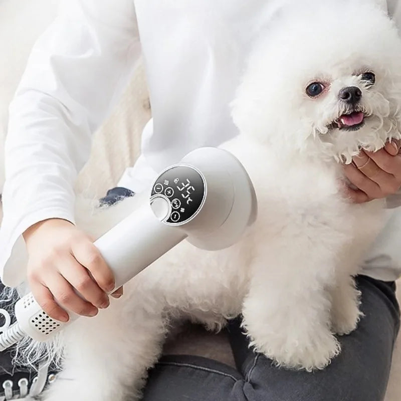 Secador de Pelo Profesional para Mascotas – Aire Caliente y Frío con Cepillo Desenredante y Motor Potente