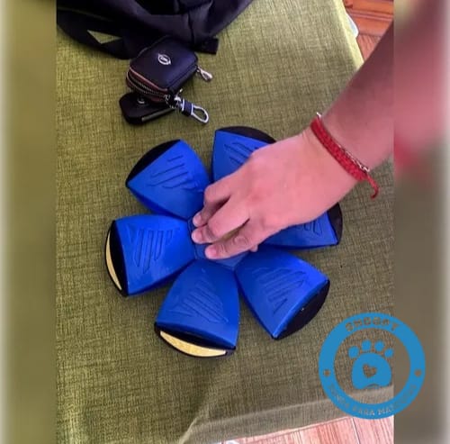 Pelota Transformable 2 en 1 para Perros – Juguete Interactivo y Resistente