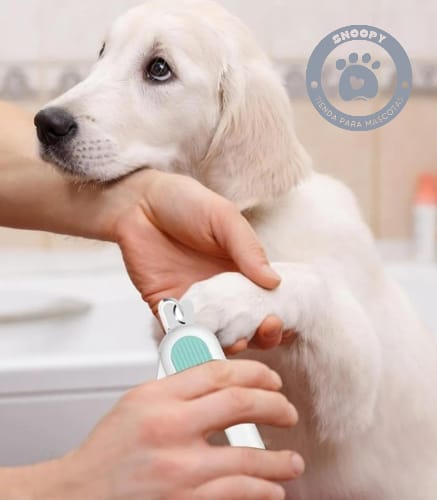 Cortador de Uñas Beepaw Nail-e con Luz LED y Lima – Para Perros y Gatos 🐶🐱