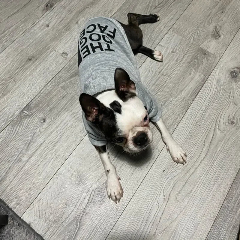 ✨ Sudadera con Capucha para Perros – Abrigo Cortavientos Cálido y Deportivo