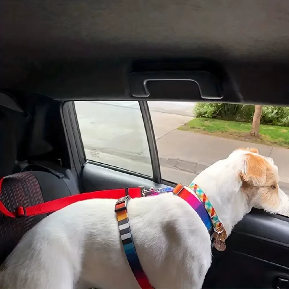 Cinturón de Seguridad Ajustable para Perros y Gatos 🐾 | Viajes Seguros en Auto