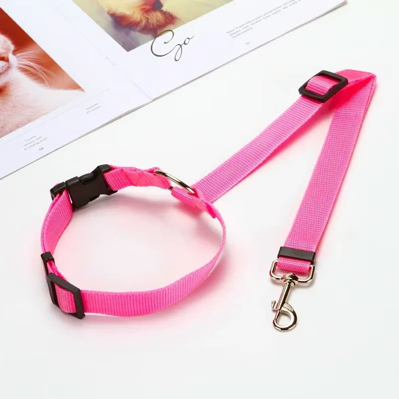 Cinturón de Seguridad Ajustable para Perros y Gatos 🐾 | Viajes Seguros en Auto
