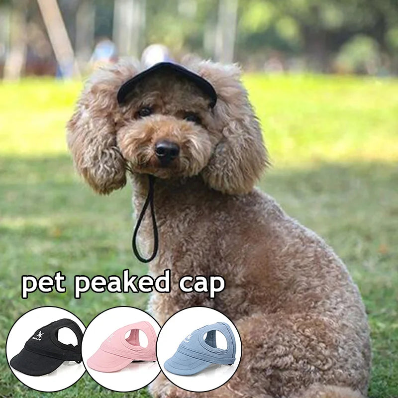 Sombreros para Perros 🐶 | Gorra de Verano, Antisudor, Ajustable y Transpirable
