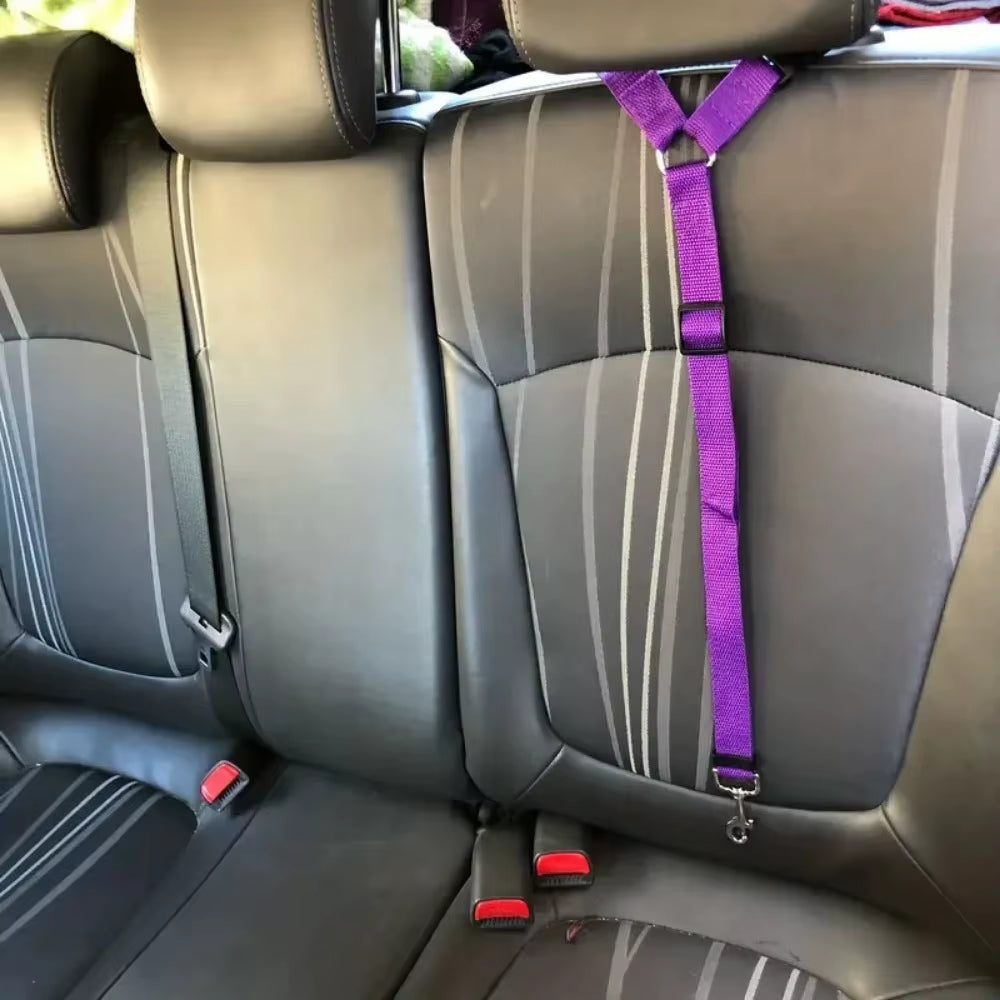 Cinturón de Seguridad Ajustable para Perros y Gatos 🐾 | Viajes Seguros en Auto