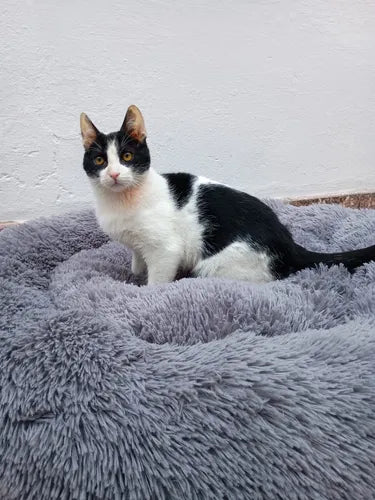 Cama Nido Anti Estrés Mediana 60cm Para Mascotas