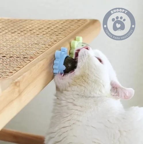 Snack interactivo de hierba gatera para gatos