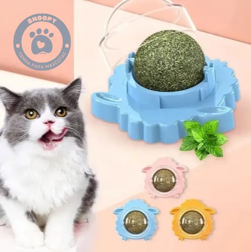 Snack interactivo de hierba gatera para gatos