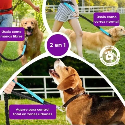 Cinturón manos libres con correa para correr y pasear con tu perro