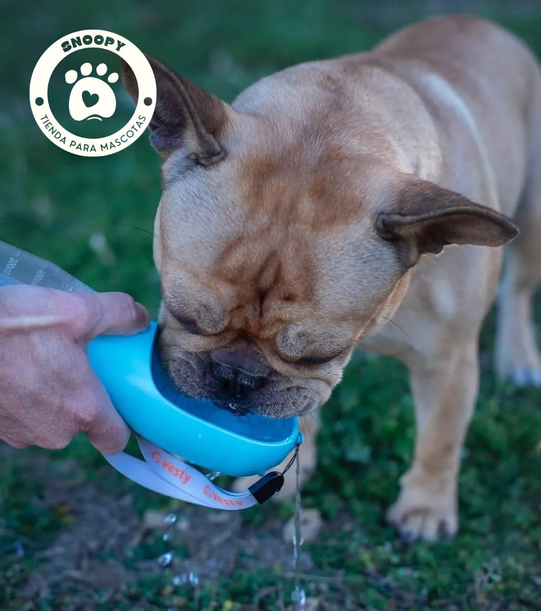 Botella Portátil 3 en 1 para Mascotas – Agua, Comedero y Bolsas Desechables
