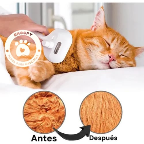 Cepillo Masajeador 3 en 1 con Spray Beepaw – Cepilla, Masajea y Limpia