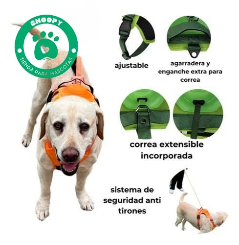 Arnés Anti-Tirones con Correa Extensible – Ajustable y Seguro para Perros
