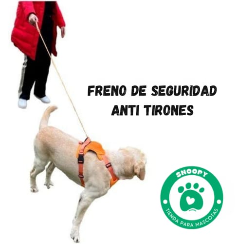 Arnés Anti-Tirones con Correa Extensible – Ajustable y Seguro para Perros