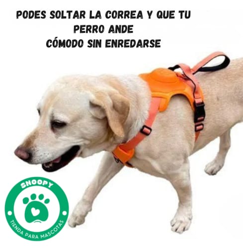 Arnés Anti-Tirones con Correa Extensible – Ajustable y Seguro para Perros