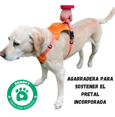 Arnés Anti-Tirones con Correa Extensible – Ajustable y Seguro para Perros