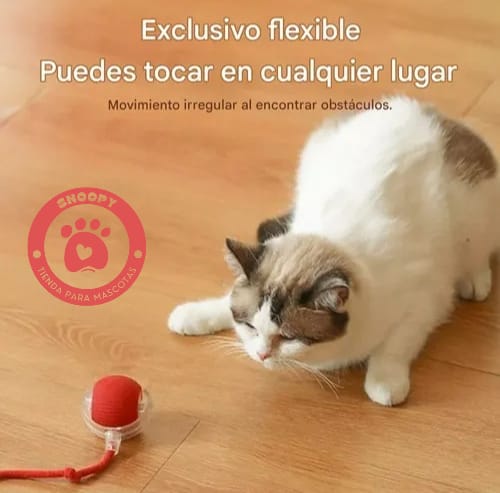 Pelota Interactiva Recargable USB para Perros y Gatos – Juego Inteligente y Seguro