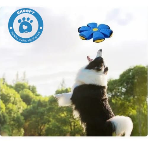 Pelota Transformable 2 en 1 para Perros – Juguete Interactivo y Resistente
