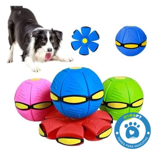Pelota Transformable 2 en 1 para Perros – Juguete Interactivo y Resistente