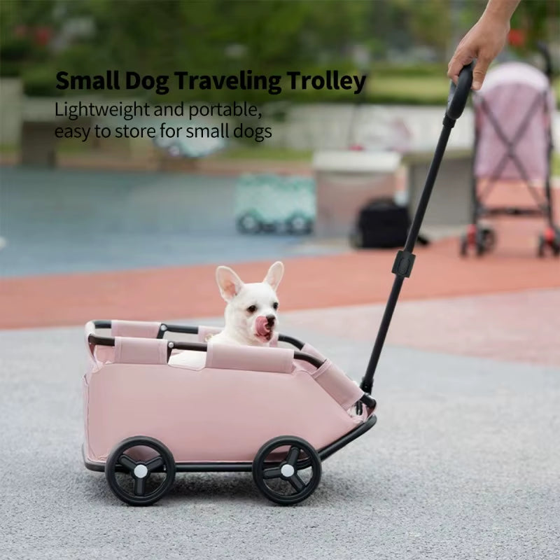Cochecito Plegable Premium para Mascotas con Ruedas – Transportadora Portátil para Perros y Gatos Pequeños/Procto Internacional
