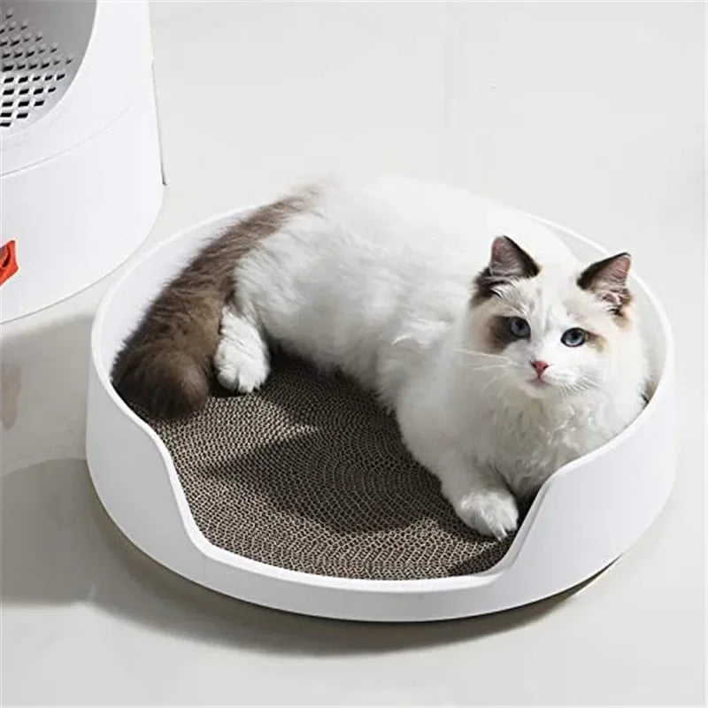 ✨ Caja de Arena Sanitaria Importada para Gatos – Higiene, Comodidad y Menos Olores