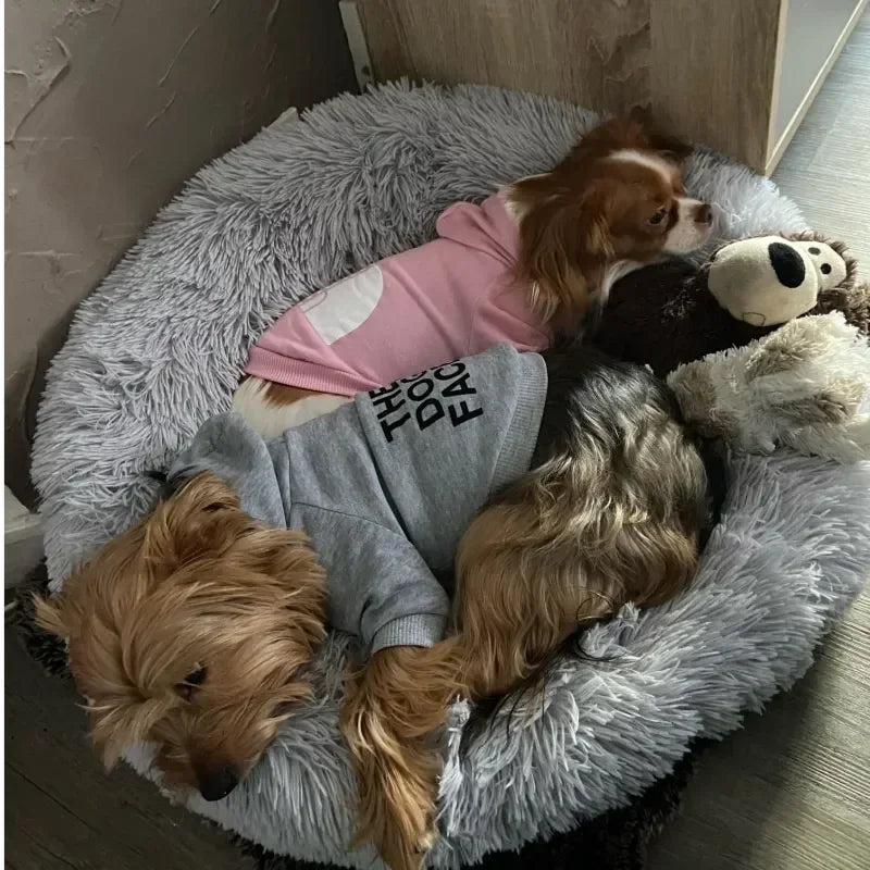✨ Sudadera con Capucha para Perros – Abrigo Cortavientos Cálido y Deportivo
