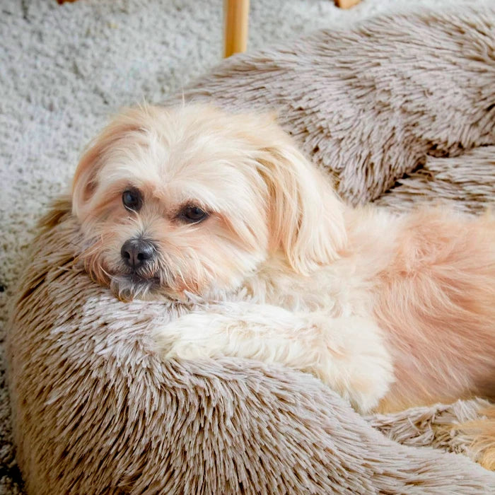 Cama Nido Anti Estrés Mediana 60cm Para Mascotas