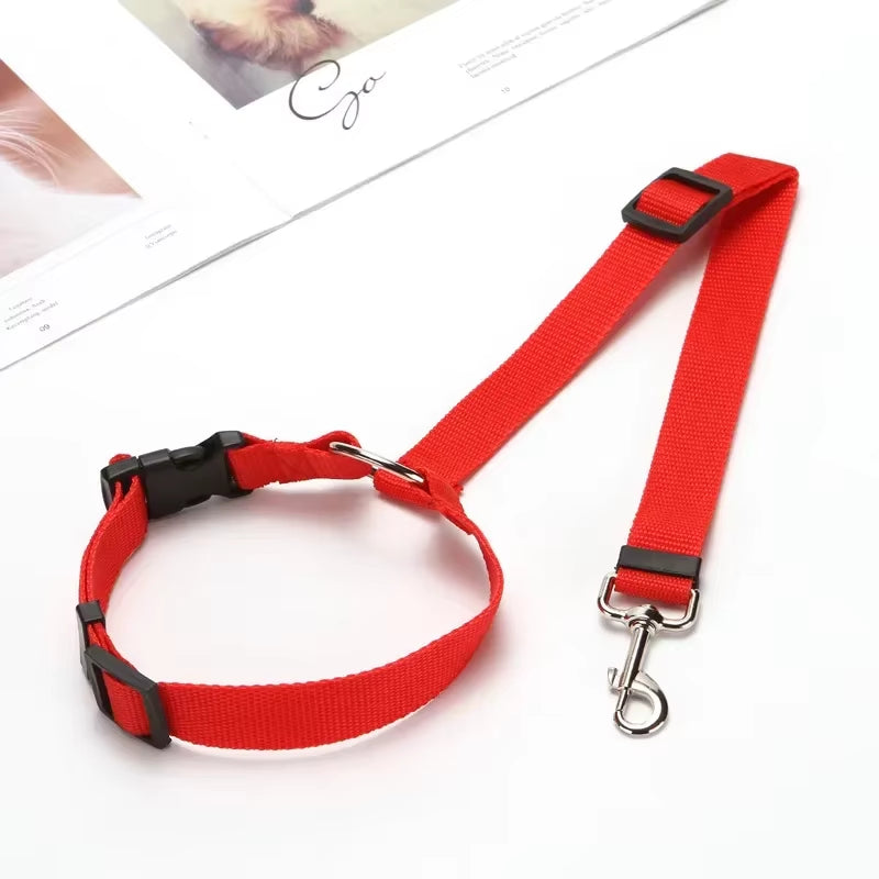 Cinturón de Seguridad Ajustable para Perros y Gatos 🐾 | Viajes Seguros en Auto
