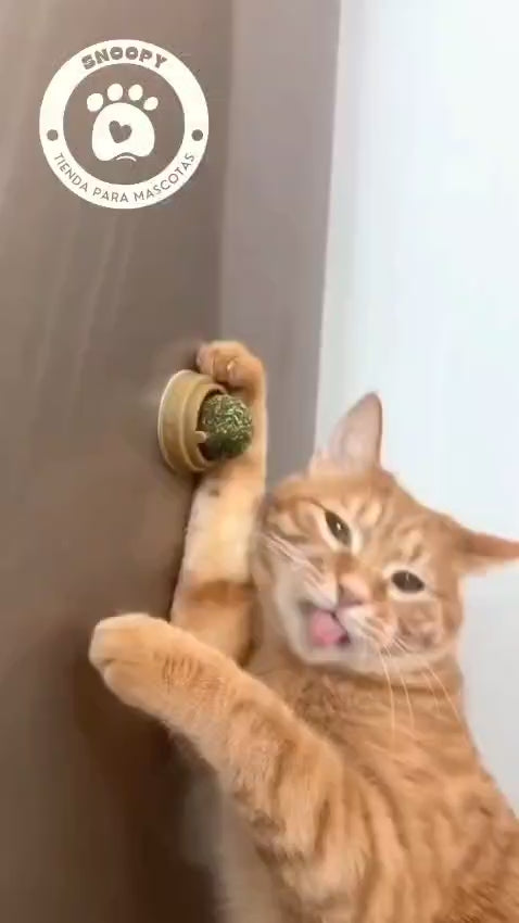 Snack interactivo de hierba gatera para gatos