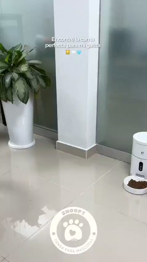 Cama Esférica de Mimbre para Gatos con Base Antideslizante - Producto Importado